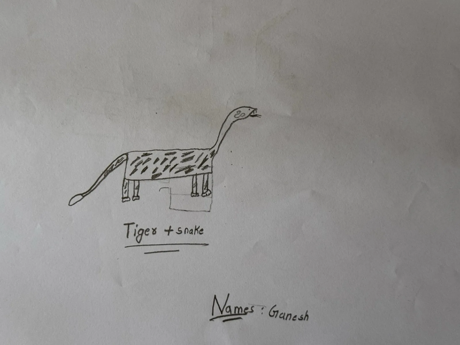 A child’s drawing labelled tiger plus snake, with a long neck and striped body
