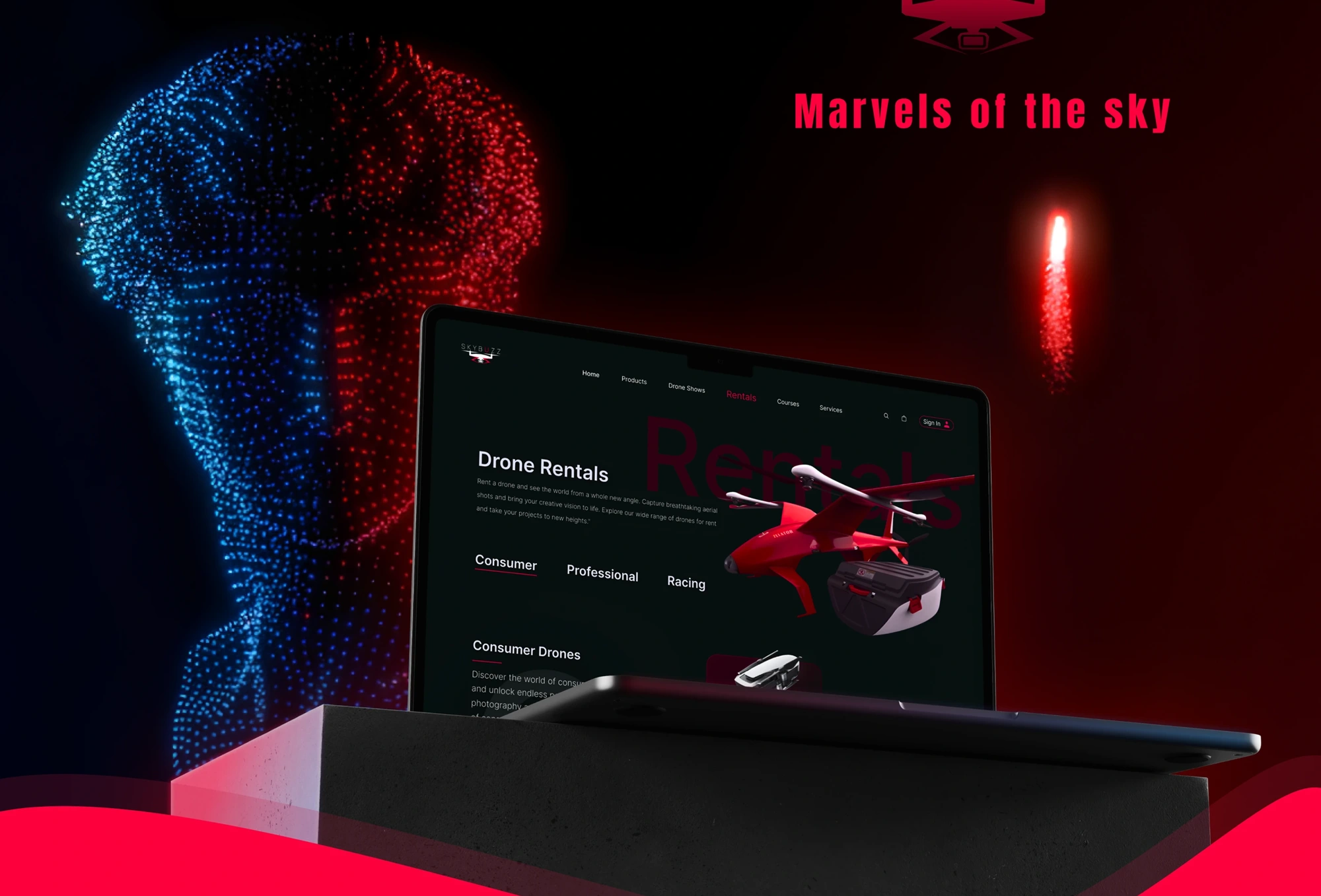 SKYBUZZ drone service website concept